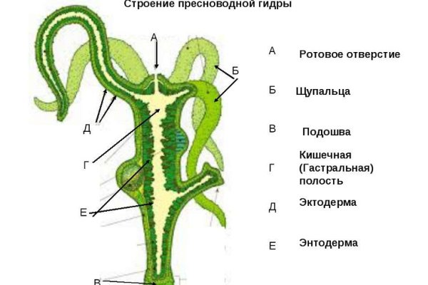 Ссылка адрес на кракен