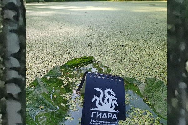 Кракен маркет супернет только через торг