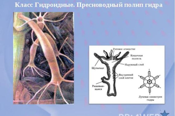 Как войти в супернет