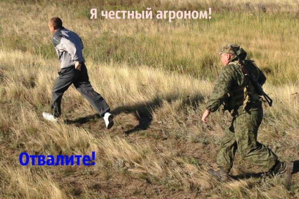 Kraken как найти ссылку