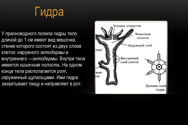 Как зарегистрироваться на кракене