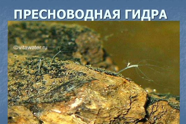 Сайты продаж наркотиков