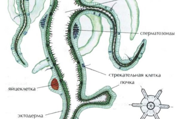 Кракен шоп что это