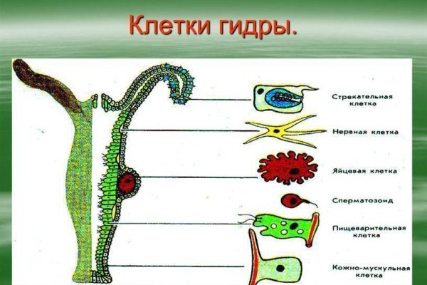 Ссылка на супернет в тор