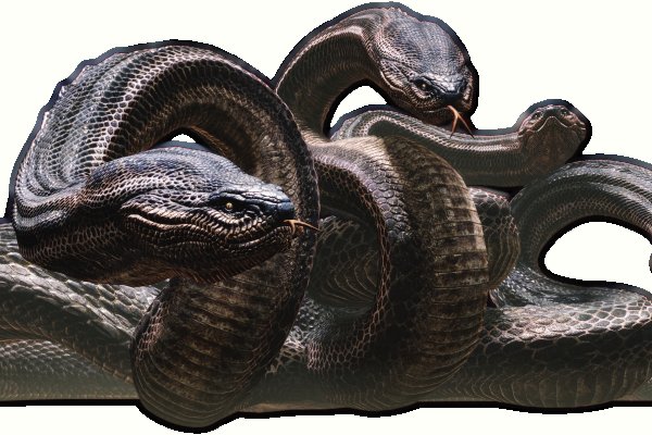 Kraken в россии