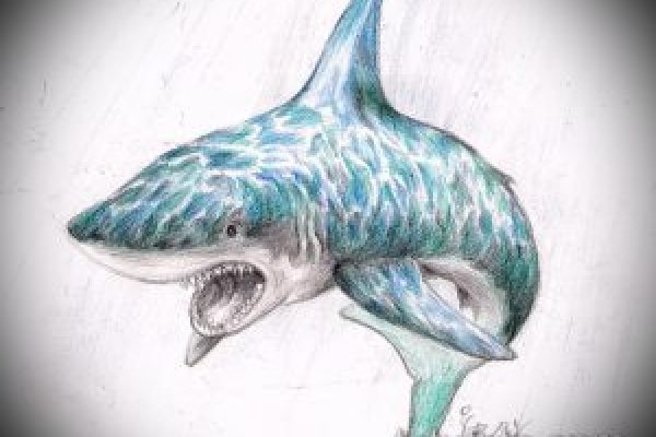Kraken tor marketplace