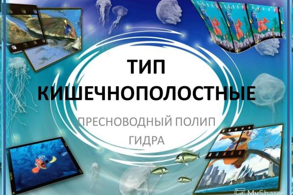 Как зайти на гидру через тор браузер