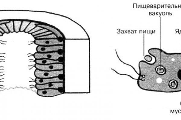Кракен сайт купить счастье