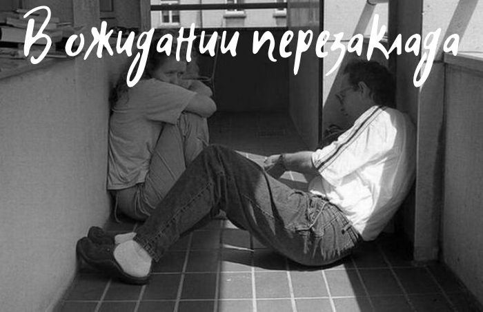 Кракен шеринг