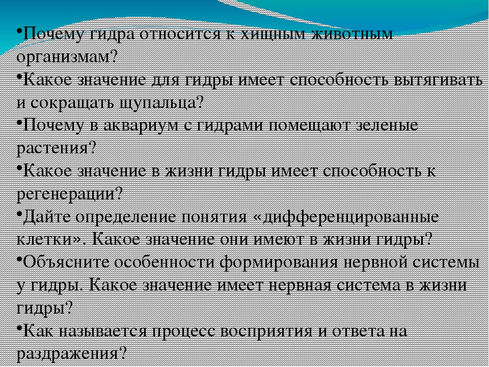 Кракен kr2connect co