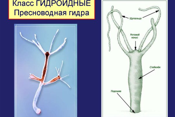 Kraken официальное зеркало kraken dark link