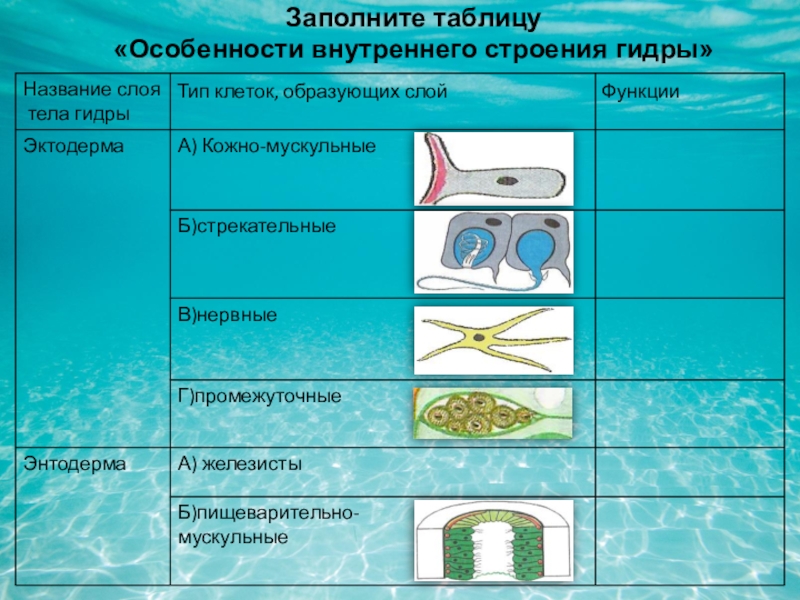 Кракен маркетплейс krk market com